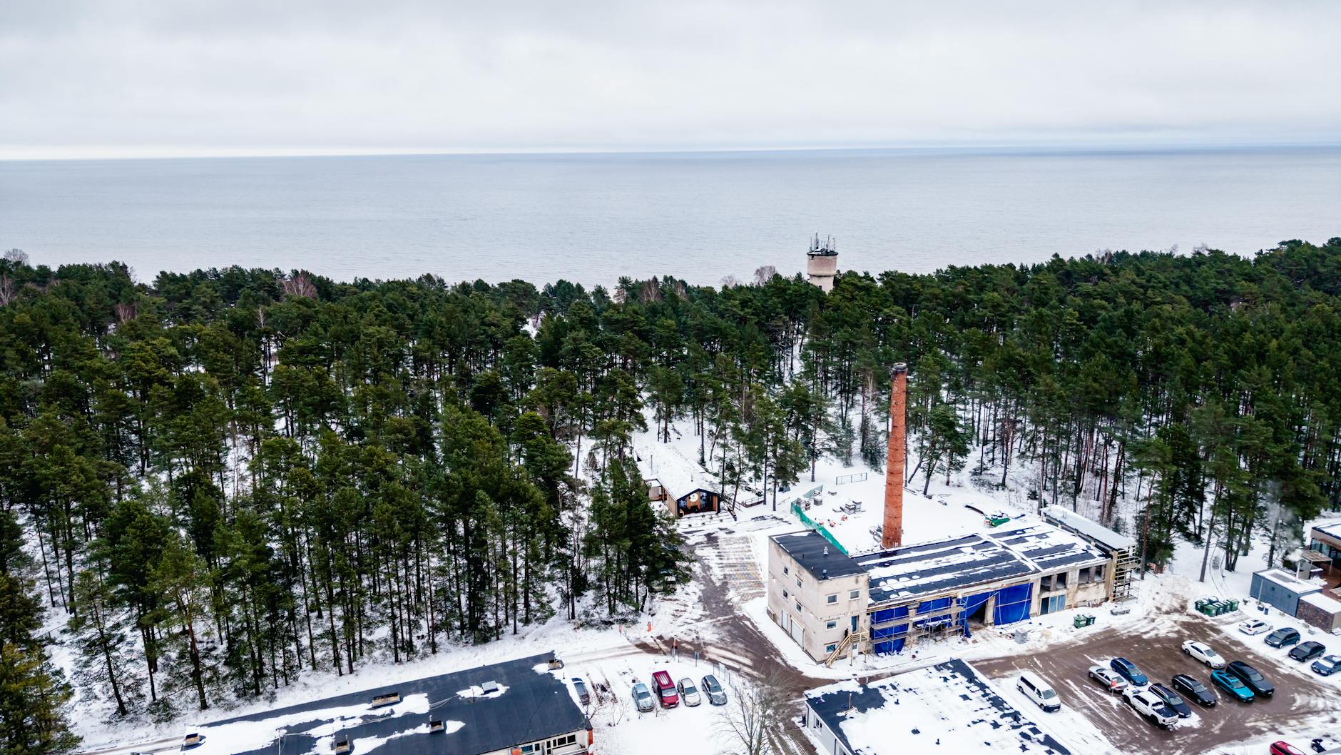 Manipuloiva pomo : vältä ansoja